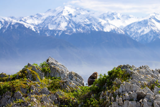 AdobeStock_1094114669