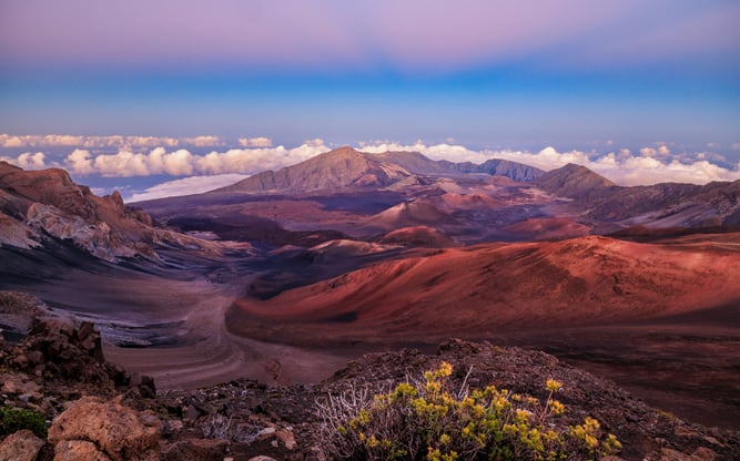 AdobeStock_1900280128