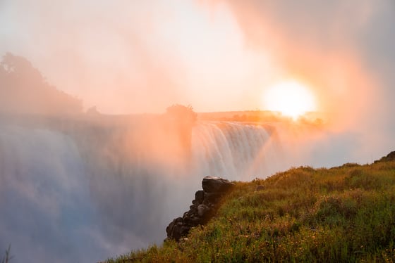 AdobeStock_2047714182