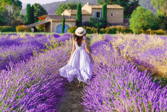 AdobeStock_353348922