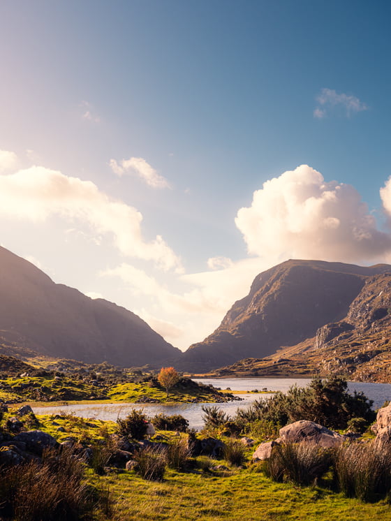 AdobeStock_609778210