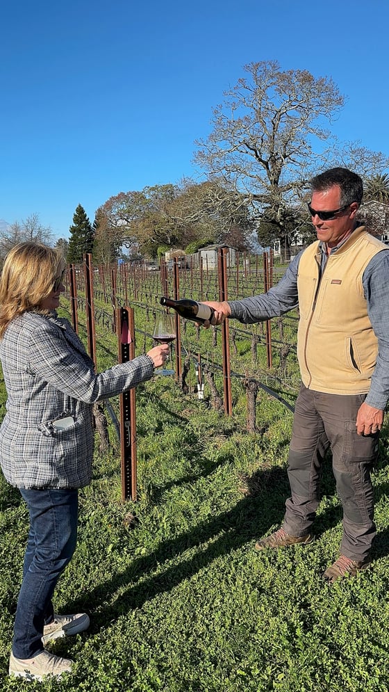 wine, vineyard, tammy, vip exp