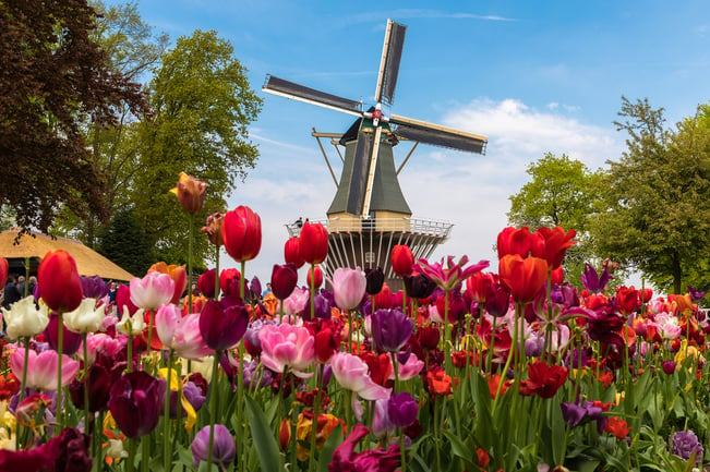 NL_Keukenhof_02