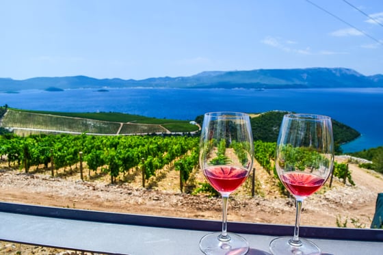 wine, vineyard, ocean, europe, croatia