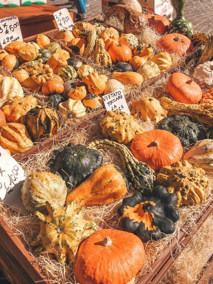 elisa-amadori-kRyFC6wRX10-unsplash