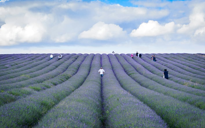 imvenkat-m-rr2r5twYQVk-unsplash