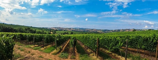 tuscany-504296_960_720.jpg